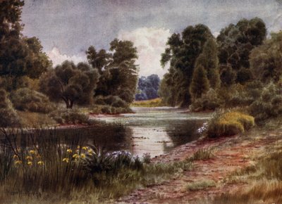 Kew Gardens: Jezero při pohledu na jih (barva lito) od Thomas Mower Martin