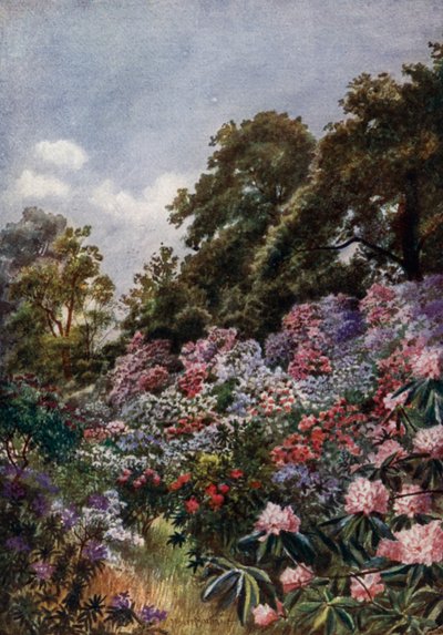 Závěsný od Thomas Mower Martin
