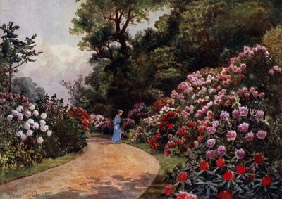 Kew Gardens: The Rhododendron Walk (barevné lito) od Thomas Mower Martin