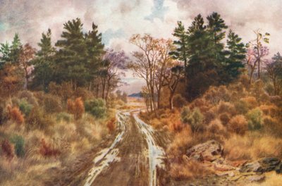 Silnice u zálivu Fundy, podzim (barevná litografie) od Thomas Mower Martin