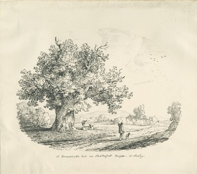 Arley - Shatterfort Height: litografie, 1839 od Thomas Peploe Wood