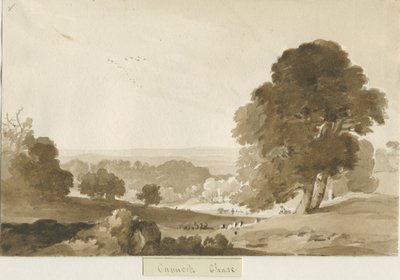 Cannock Chase: sépiová kresba, nd [?1839] od Thomas Peploe Wood