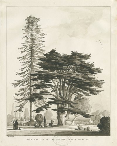 Haughton Rectory: sépiová lavírovaná kresba od Thomas Peploe Wood