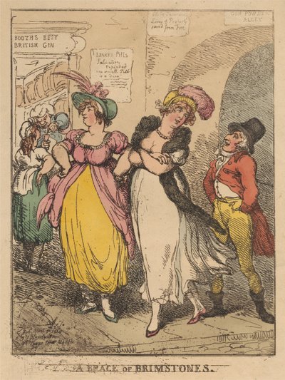 Dvojice žlutých motýlů od Thomas Rowlandson