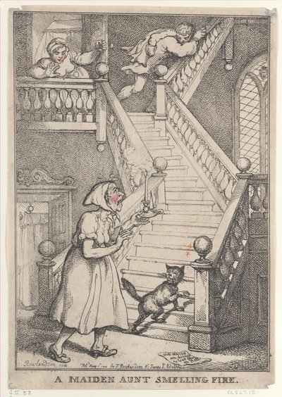 A Maiden Aunt Smelling Fire, [1. května 1806], znovu vydáno 1. května,..., [1. května 1806], znovu vydáno 1. května 1812. od Thomas Rowlandson