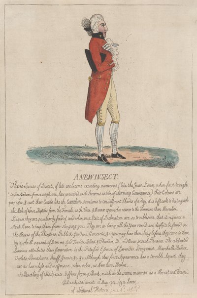 Nový druh hmyzu od Thomas Rowlandson