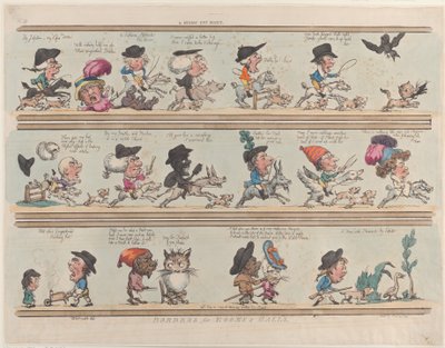 Hon na zakrslou kočku, Hranice místností a sálů, deska 9, 20. června 1799, 20. června 1799. od Thomas Rowlandson
