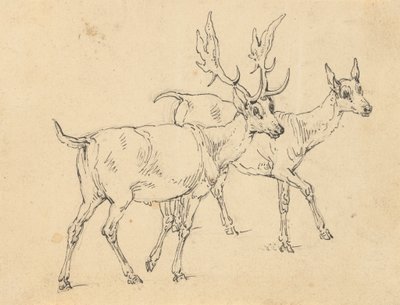 Kresba alba od Thomas Rowlandson