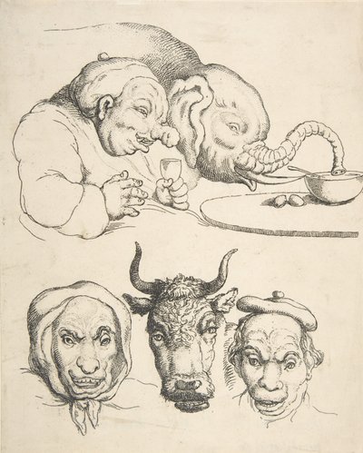 Srovnávací anatomie, 1800-25., 1800-25. od Thomas Rowlandson