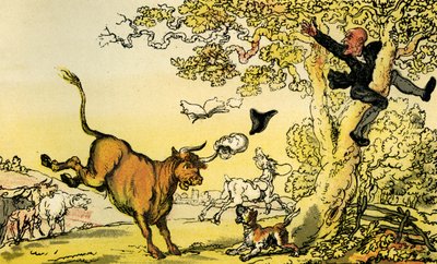 "Doktor Syntax pronásledovaný býkem" od Thomas Rowlandson