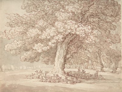 Stádo jelenů pod dubem, 1775-1827. od Thomas Rowlandson
