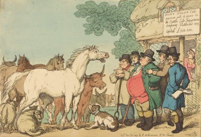 Pojistitelný dobytek, publikoval 1809. od Thomas Rowlandson