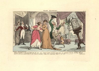 Muž je napaden papouškem a kočkou v salonu. od Thomas Rowlandson