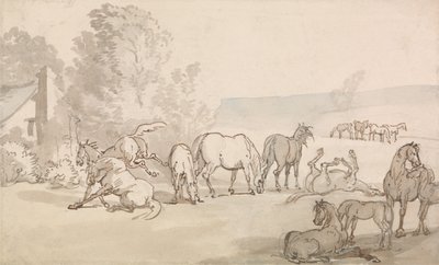 Kobylky a hříbata na pastvině od Thomas Rowlandson