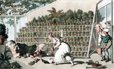 Neštěstí v Tulip Hall, c1816 od Thomas Rowlandson