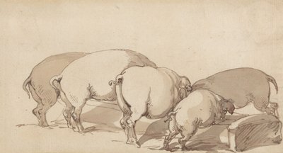 Prasata u koryta od Thomas Rowlandson