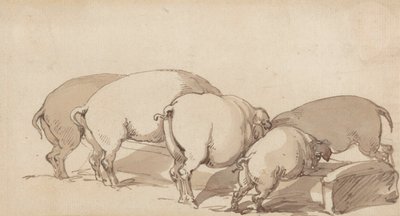 Pigs at a Trough, cca 1790 (grafit s perem a inkoustem a hnědý lavír na papíře) od Thomas Rowlandson
