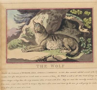 Sada osmi listů s titulní stranou. „Zvířata cizí i domácí.“ 5. Vlk od Thomas Rowlandson
