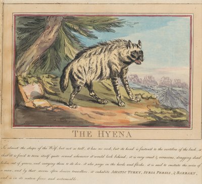 Sada osmi listů s titulní stranou. „Zvířata cizí i domácí.“ 6. Hyena od Thomas Rowlandson