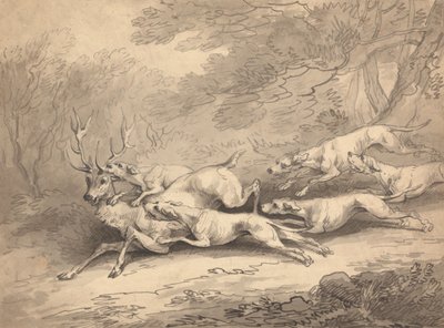 Jelen ulovený smečkou psů od Thomas Rowlandson