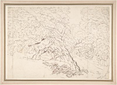 Studium stromů od Thomas Rowlandson