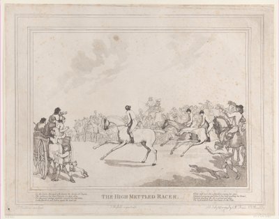 Závodní kůň ze života dostihového koně aneb Ušlechtilý závodník, 20. července..., 20. července 1789 od Thomas Rowlandson