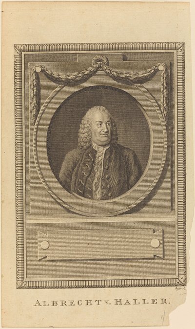 Albrecht V. Haller od Thomas Ryder