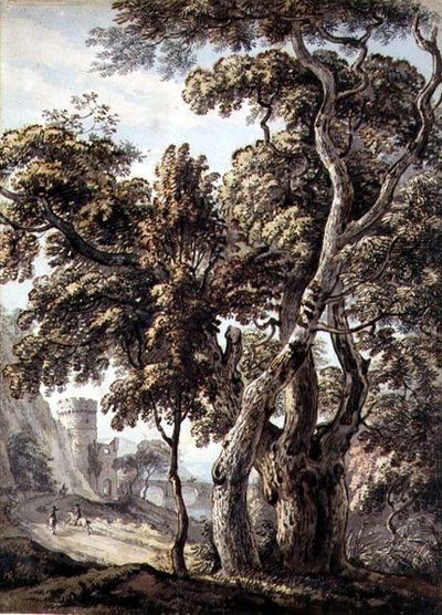 Studium stromů (pero, inkoust a akvarel na papíře) od Thomas Sandby