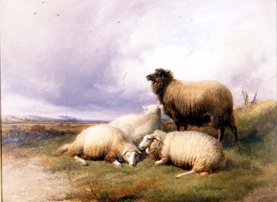 Ovce v krajině od Thomas Sidney Cooper