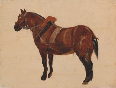 Studie pracovního koně od Thomas Sidney Cooper