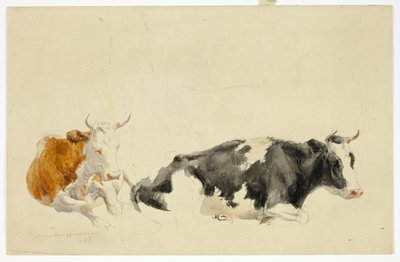 Dvě ležící krávy (recto); nákres stojící krávy (verso) od Thomas Sidney Cooper