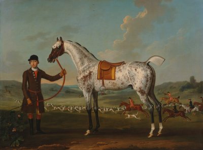 Scipio, strakatý lovec, majetek plukovníka Roche od Thomas Spencer