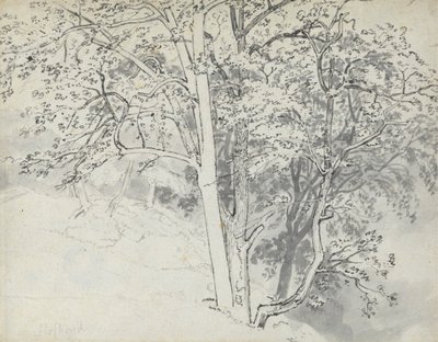 Studium stromů od Thomas Stothard