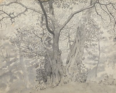 Stromová studie od Thomas Stothard