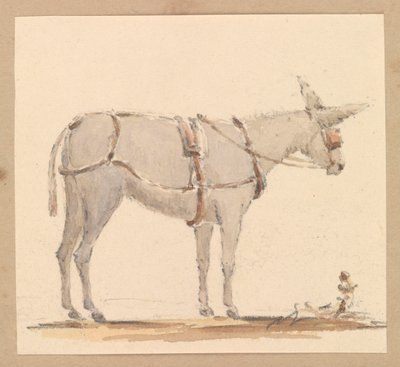 Studie osla s uzdou a postrojem, kolem roku 1820 (tužka s hnědou a šedou pastelkou na papíře) od Thomas Streatfeild