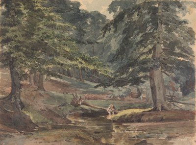 Scéna zalesněné řeky od Thomas Sully