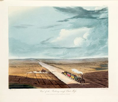 Rainhill Bridge, Chat Moss, poblíž Liverpoolu, 1831 od Thomas Talbot Bury