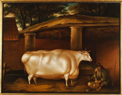 Bílá jalovice, která cestovala s mužem, který krájel tuřín na stájovém dvoře, 1811 od Thomas Weaver