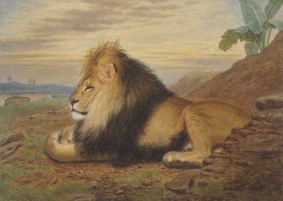 Lev od Thomas William Wood