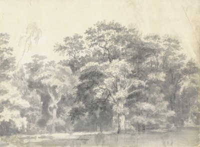 Stromy na břehu řeky od Thomas Wyck