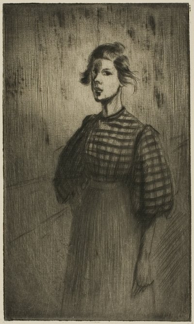 Učeň od Théophile Alexandre Pierre Steinlen