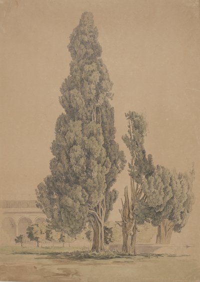 Cypřiše od Thorald Brendstrup