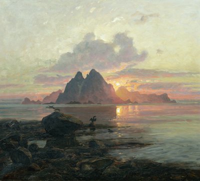 Phalacrocoarax aristotelis na půlnočním slunci od Thorolf Holmboe
