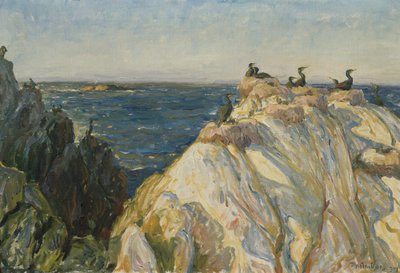 Mořský pták od Thorolf Holmboe
