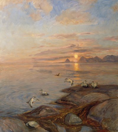 Mořští ptáci v půlnočním slunci (olej na plátně) od Thorolf Holmboe