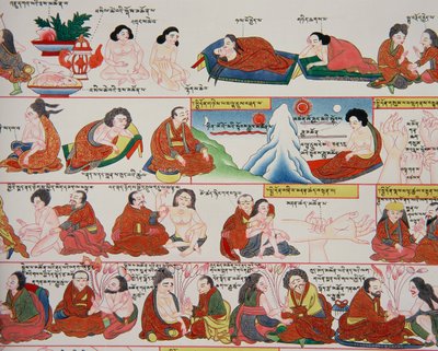 Rukopis o tibetské medicíně (detail čísla 389729) od Tibetan School