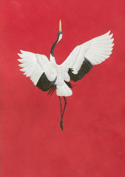 Tanečně červená, akvarel a kvaš na papíře Arches 640 g/m2, 96 x 66 cm od Tim Hayward