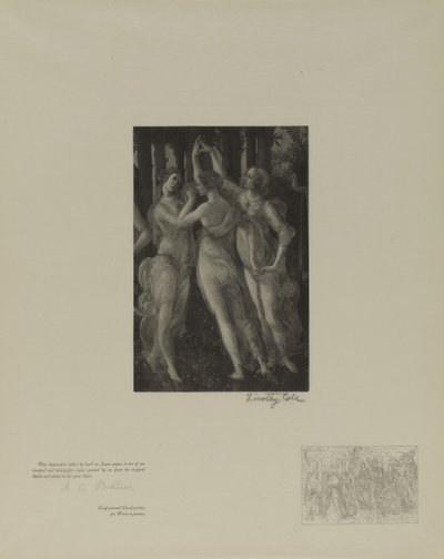 Staří italští mistři od Timothy Cole