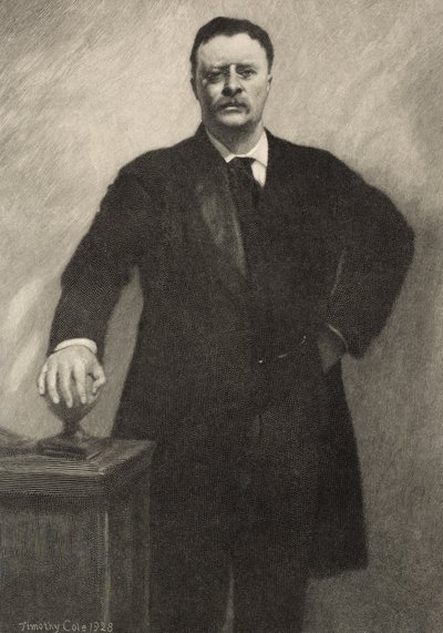 Theodore Roosevelt, 1928 od Timothy Cole