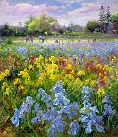 Hoeing Team a Iris Fields od Timothy Easton
